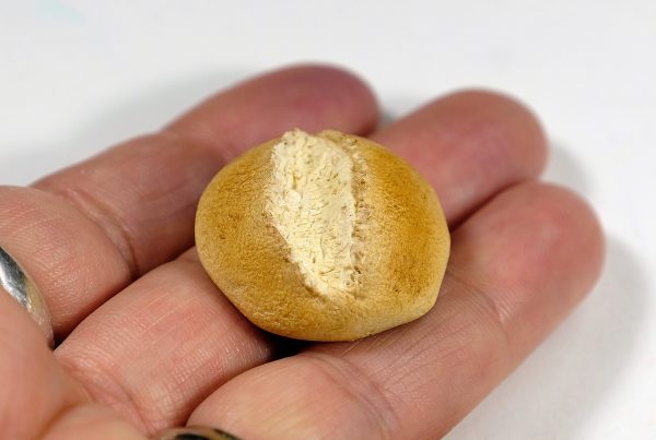 A hand holding a miniature loaf of French bread, sculpted with white polymer clay and colored with a variety of tan and brown pastels.